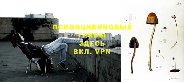 mdpv Осинники