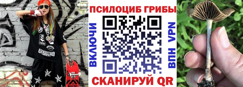 Псилоцибиновые грибы ЛСД  blacksprut ONION  Любань  наркотики 
